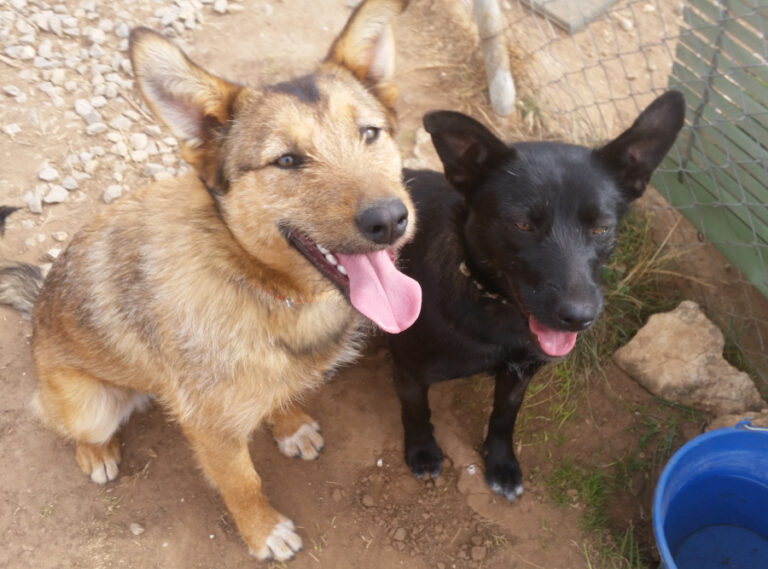 multimedia-foto56071-538-1