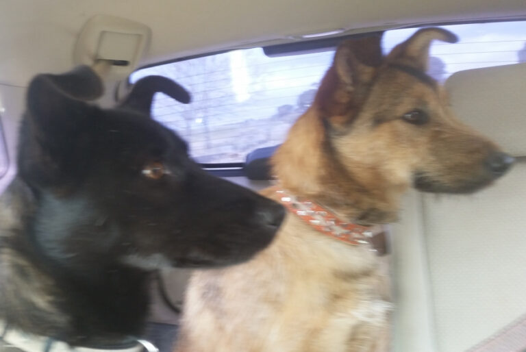 multimedia-foto56072-538-1