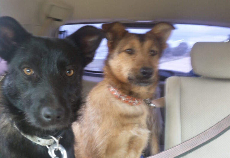 multimedia-foto56073-538-1