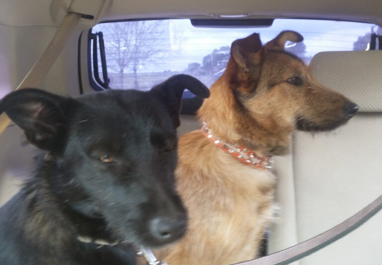 multimedia-foto56074-538-1