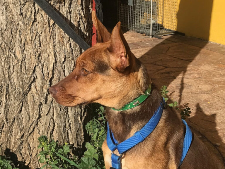 multimedia-foto56088-208-1