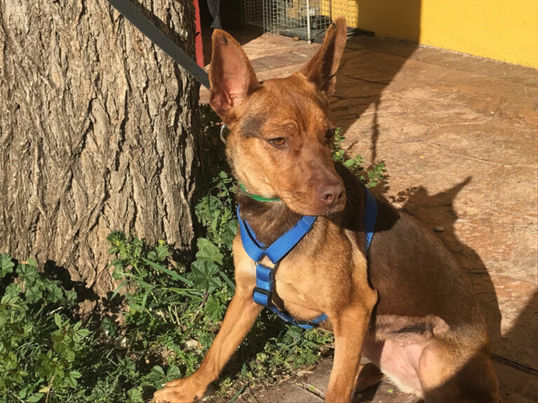 multimedia-foto56089-208-1