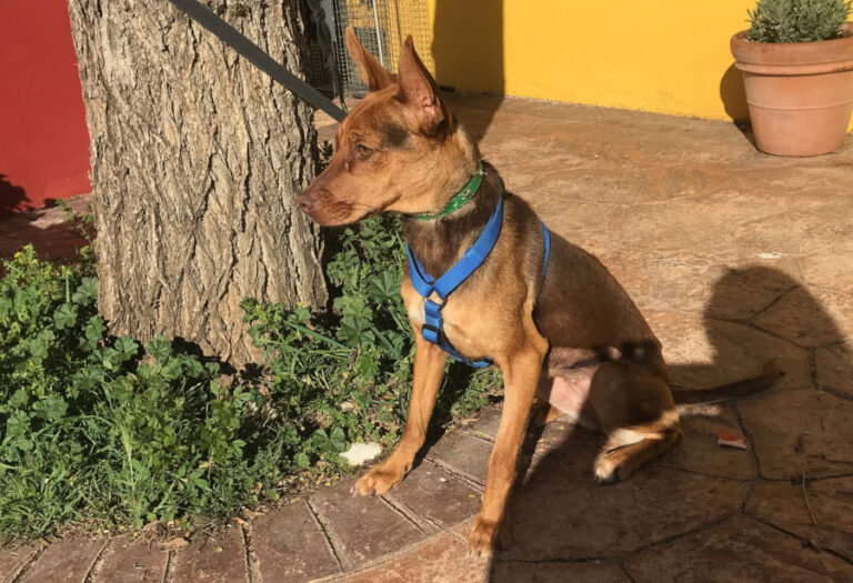 multimedia-foto56090-208-1