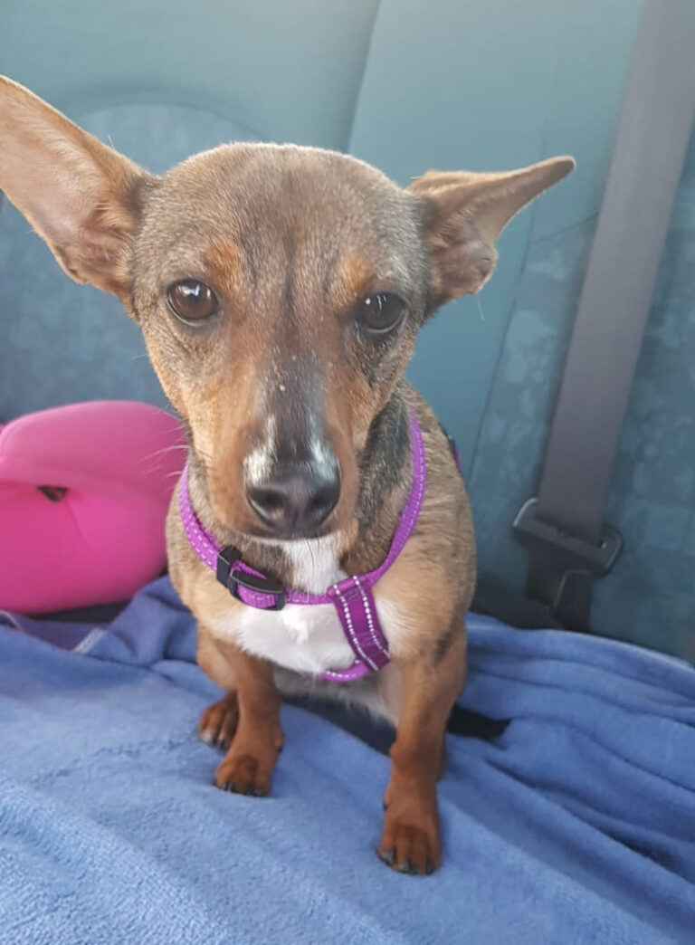 multimedia-foto56095-591-1