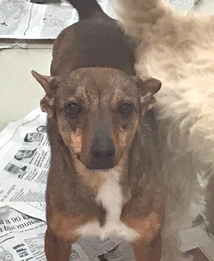 multimedia-foto56140-269-1