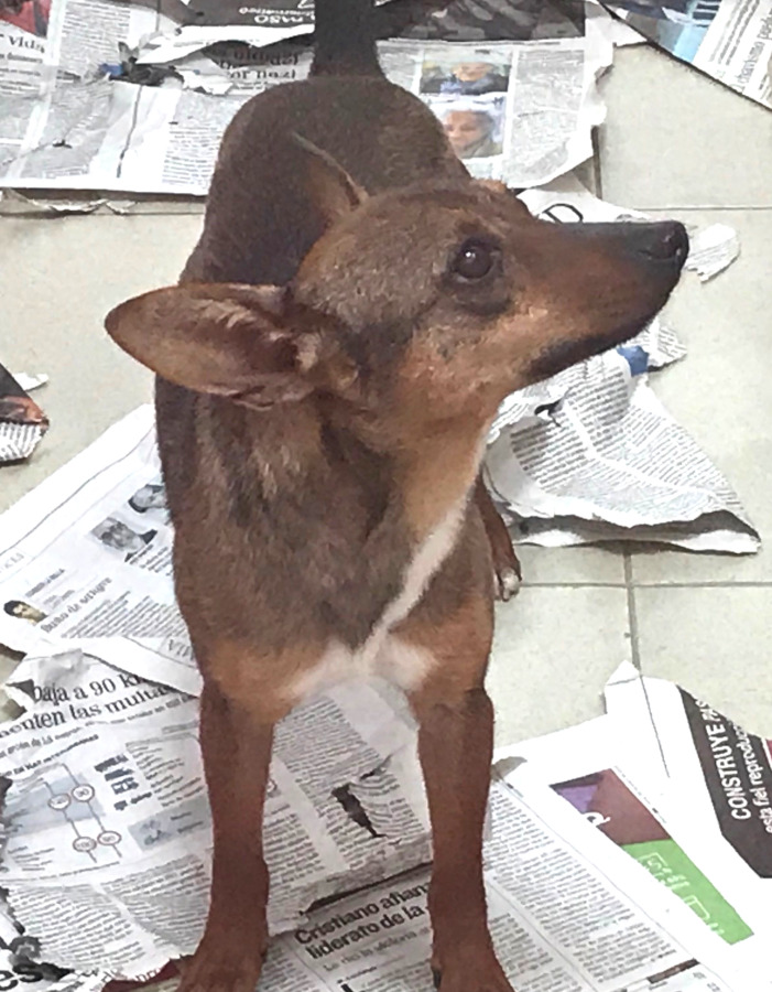 multimedia-foto56141-269-1