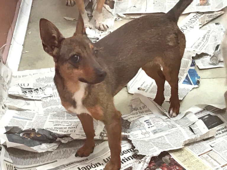 multimedia-foto56142-270-1