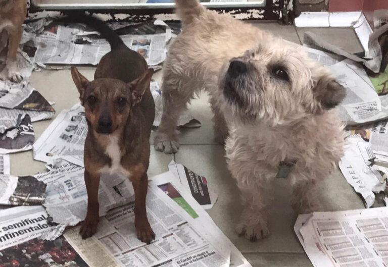 multimedia-foto56143-270-1