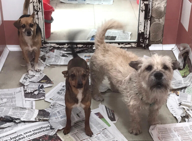 multimedia-foto56144-270-1