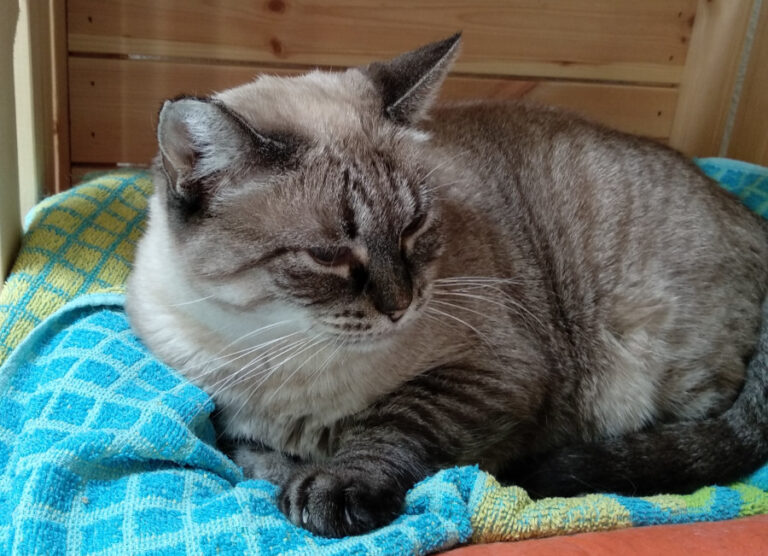 multimedia-foto56151-391-1