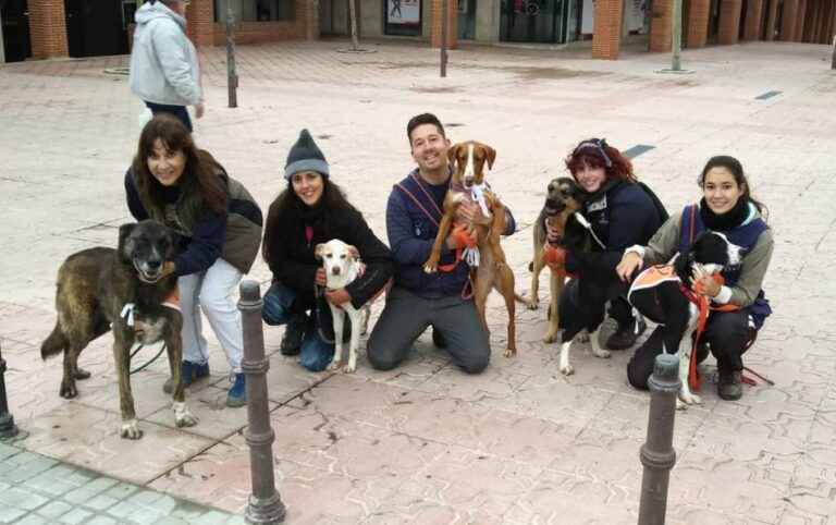 multimedia-foto56155-245-1