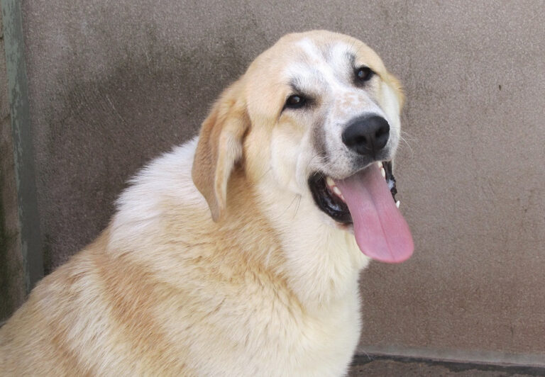 multimedia-foto56160-606-1