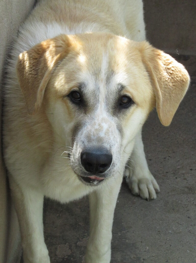 multimedia-foto56161-607-1