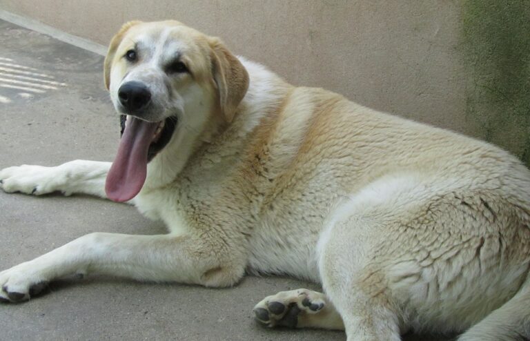 multimedia-foto56162-607-1