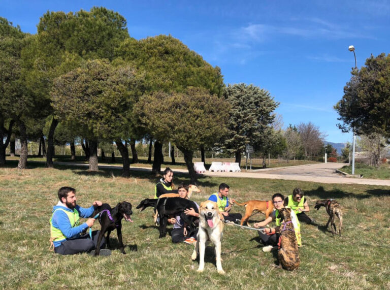 multimedia-foto56165-607-1