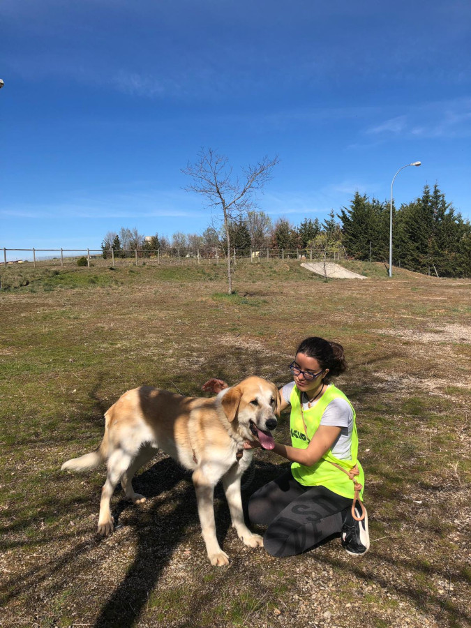 multimedia-foto56166-608-1