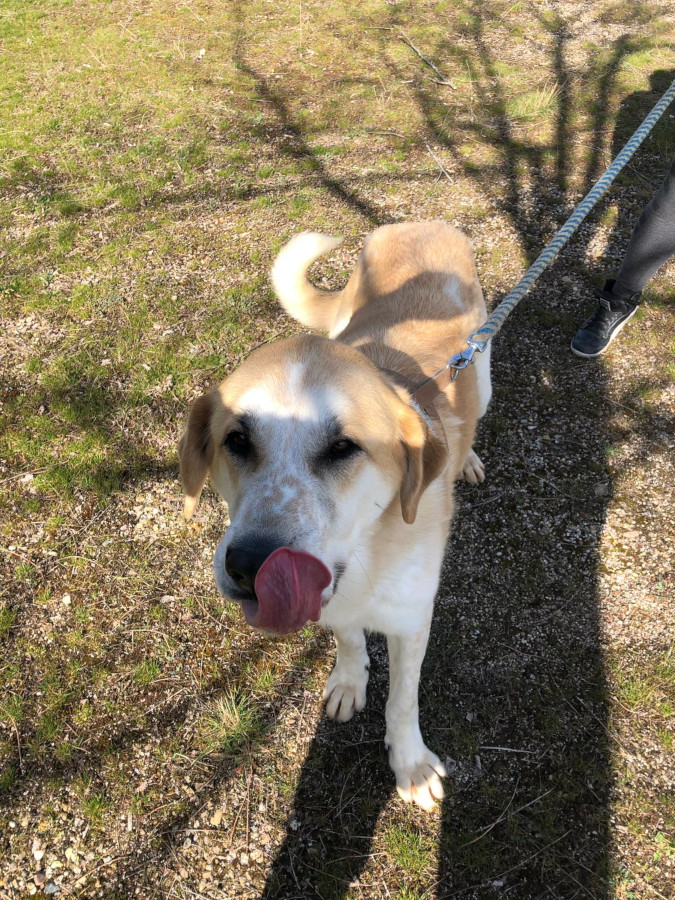 multimedia-foto56167-608-1