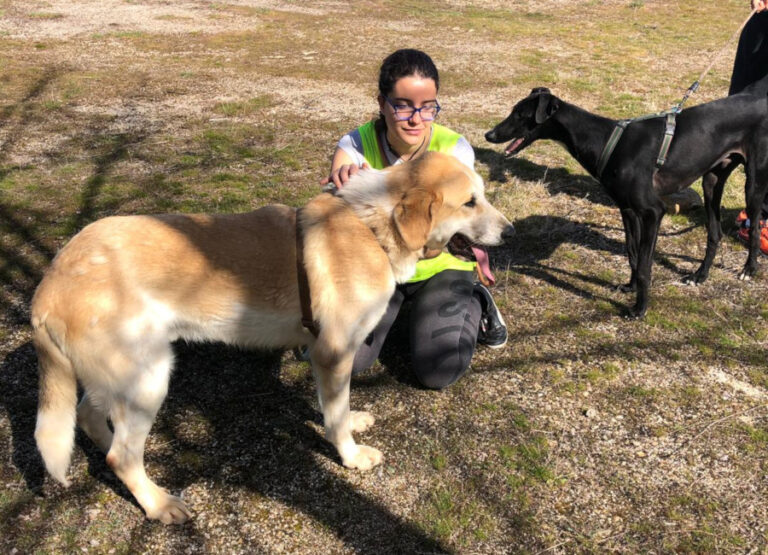 multimedia-foto56168-608-1