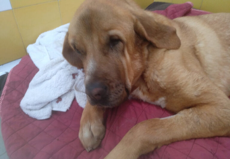 multimedia-foto56169-641-1