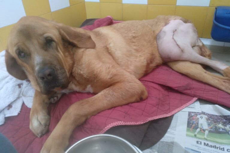 multimedia-foto56170-642-1