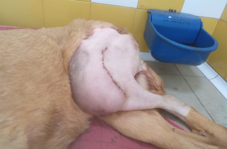 multimedia-foto56171-642-1