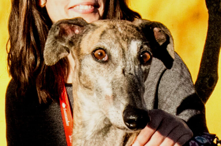 multimedia-foto56186-26-1