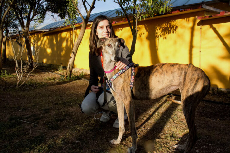 multimedia-foto56187-27-1