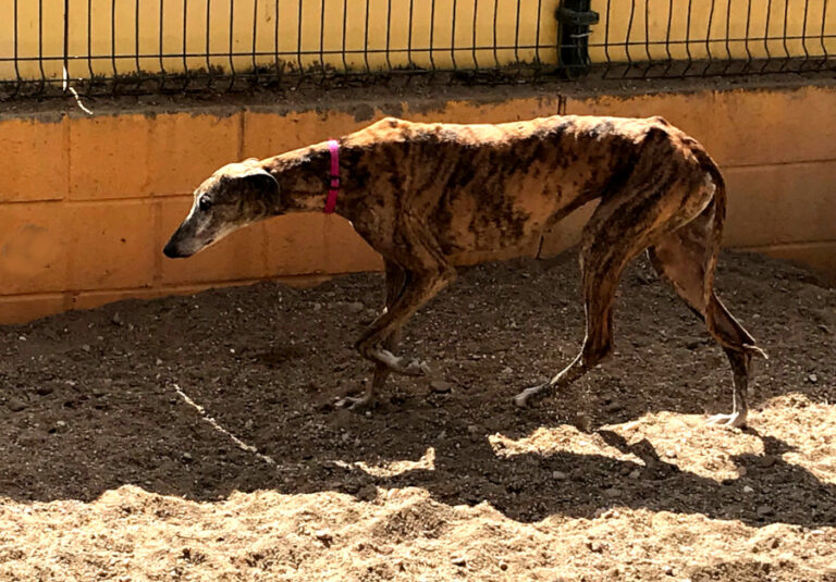 multimedia-foto56190-27-1