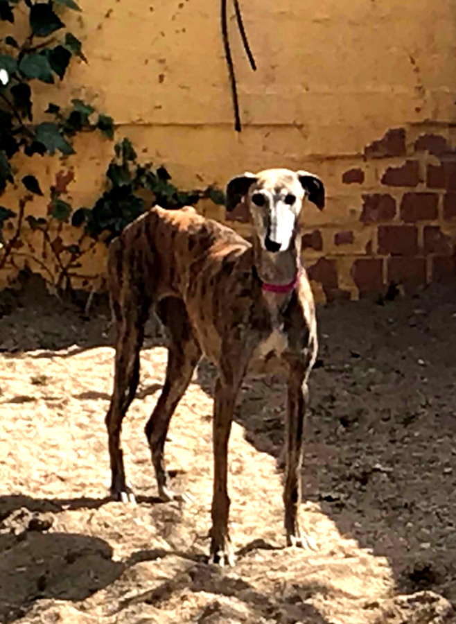 multimedia-foto56191-27-1