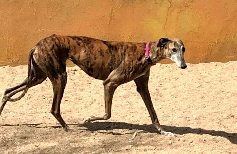 multimedia-foto56193-28-1