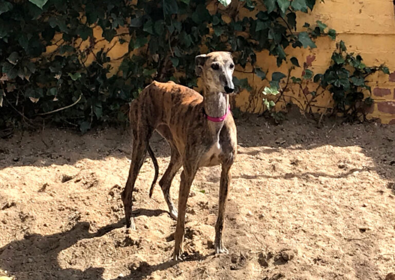 multimedia-foto56194-28-1