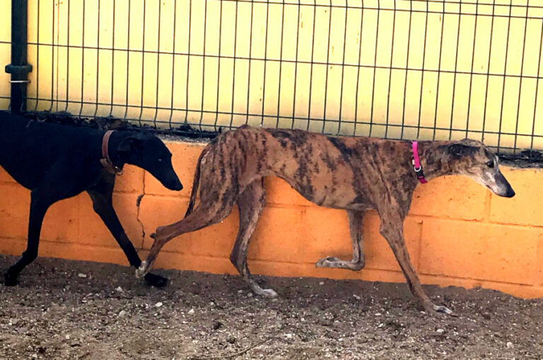 multimedia-foto56197-29-1