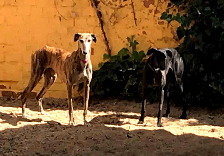 multimedia-foto56198-29-1