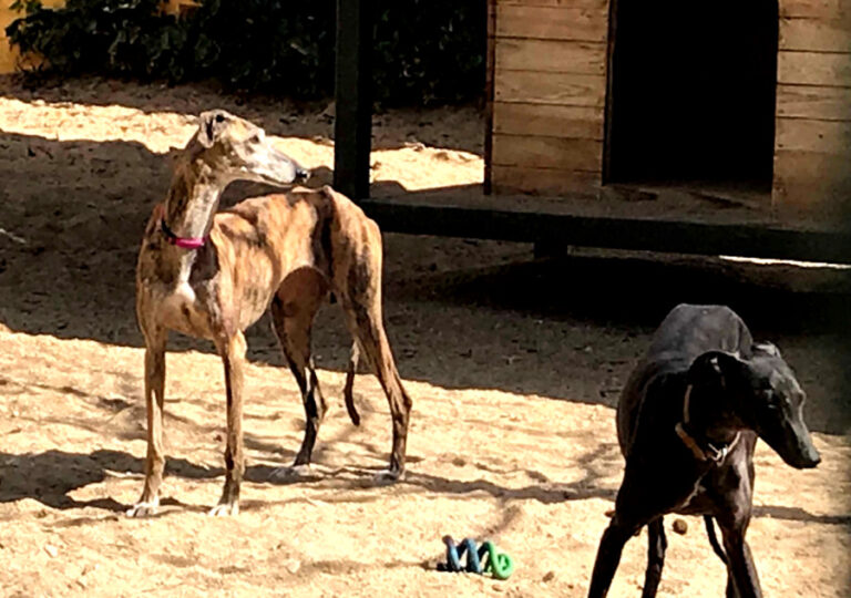 multimedia-foto56199-29-1