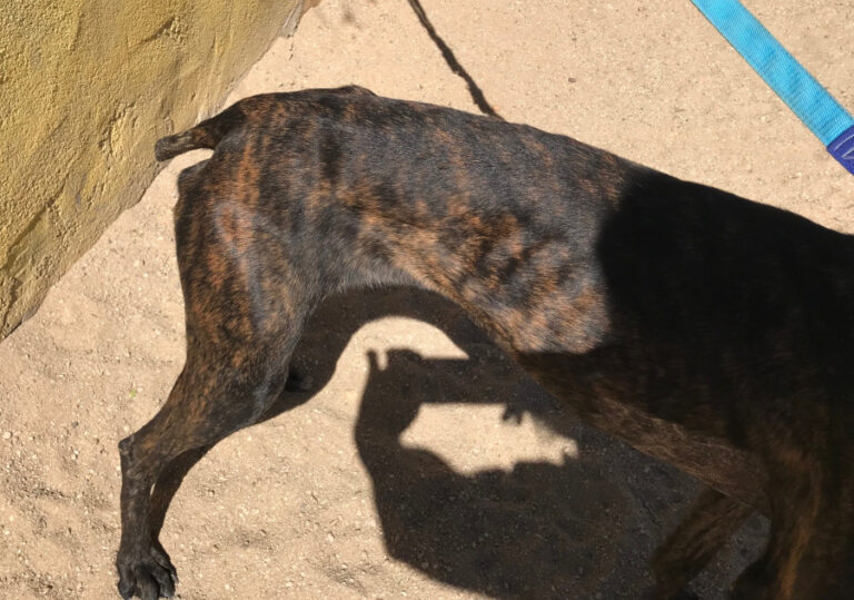 multimedia-foto56225-343-1