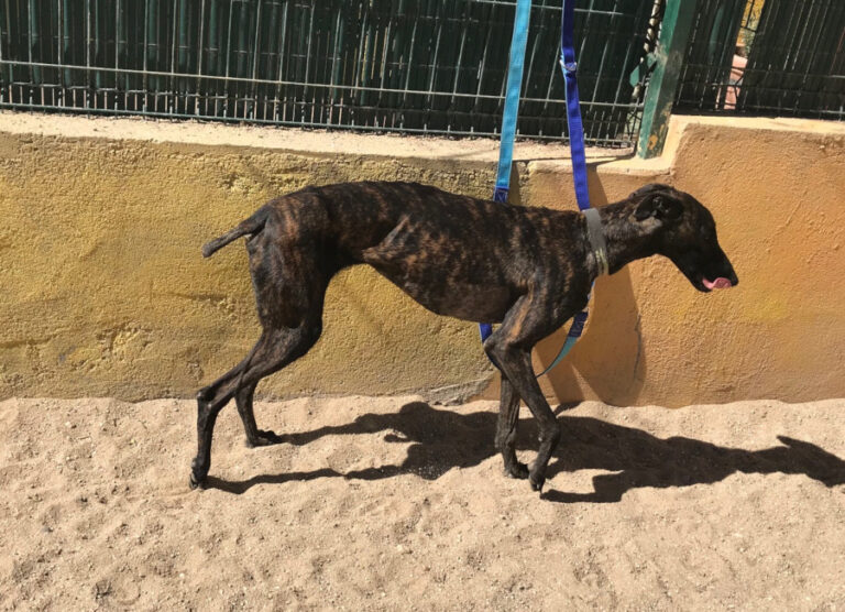 multimedia-foto56226-343-1