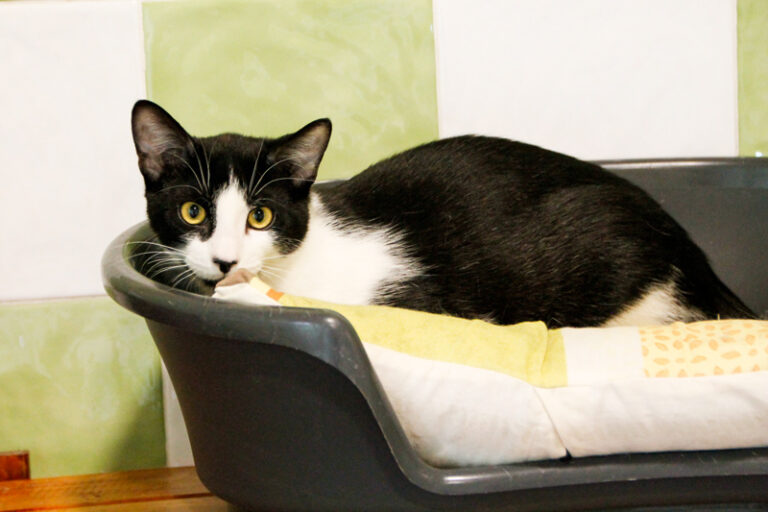 multimedia-foto56257-967-1