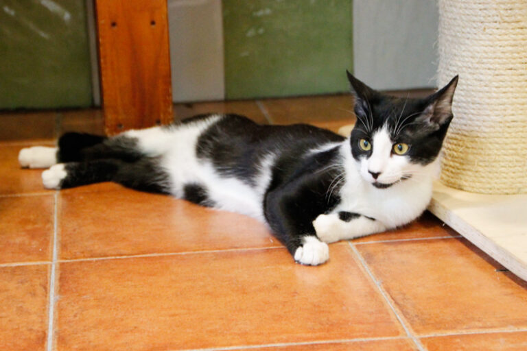 multimedia-foto56259-967-1