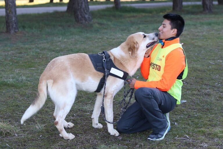 multimedia-foto56312-352-1