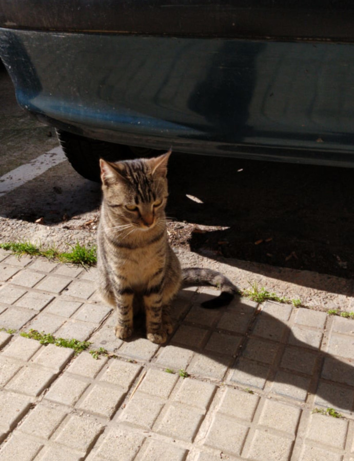 multimedia-foto56356-471-1