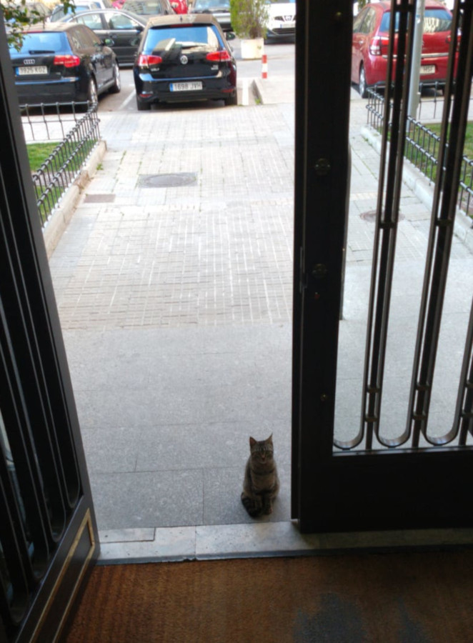 multimedia-foto56357-471-1