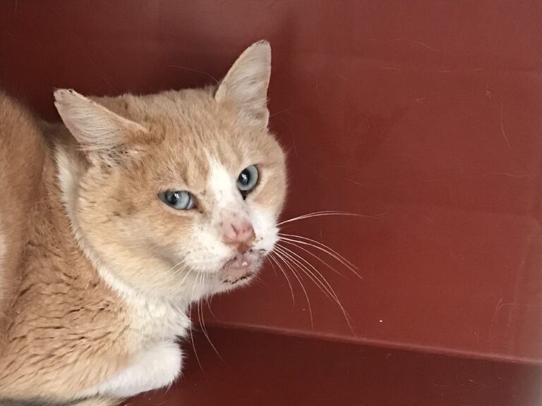 multimedia-foto56372-837-1