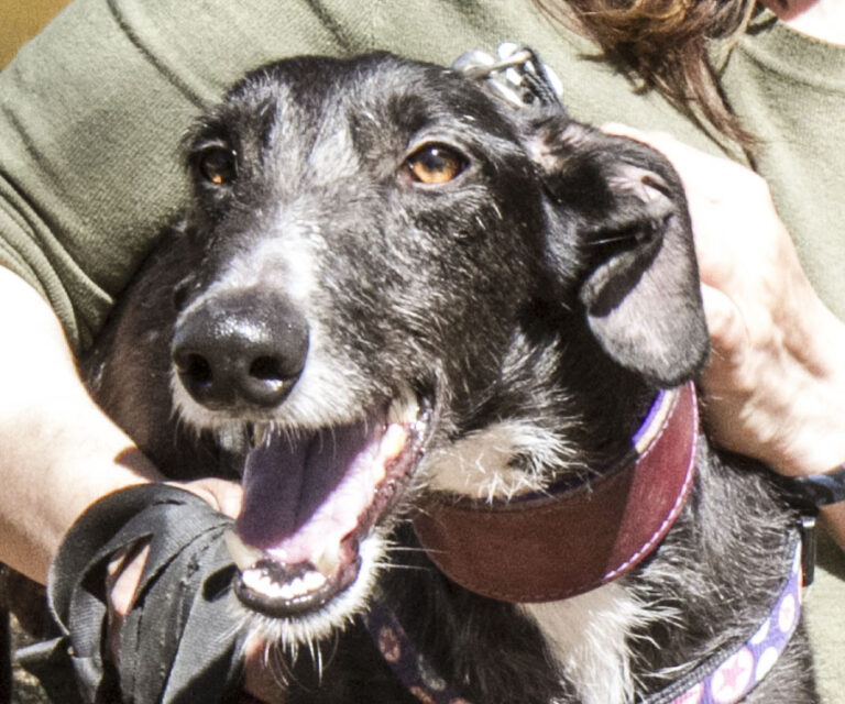 multimedia-foto56388-895-1