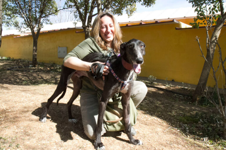 multimedia-foto56389-896-1