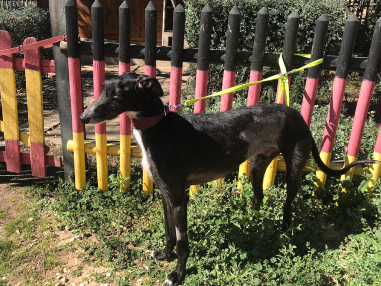 multimedia-foto56390-896-1