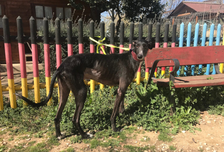 multimedia-foto56391-896-1