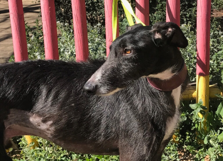 multimedia-foto56392-896-1