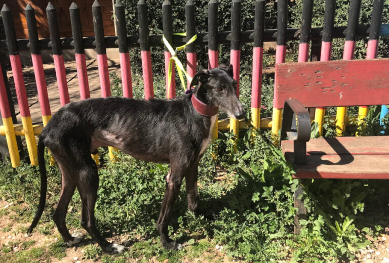 multimedia-foto56393-896-1