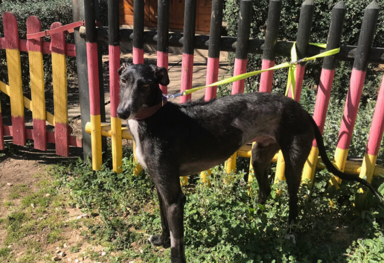 multimedia-foto56394-897-1