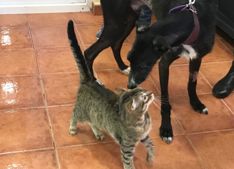 multimedia-foto56395-897-1